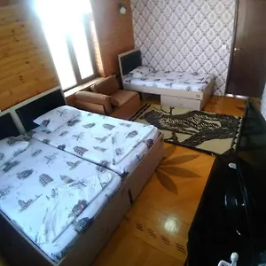  Hostel Guest